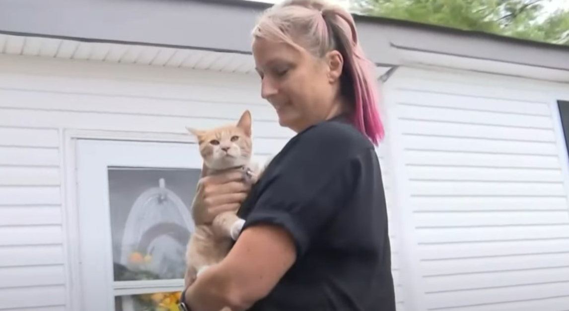 VIDEO: Family wakes up to kitten screeching at night finding out later that it saved their lives